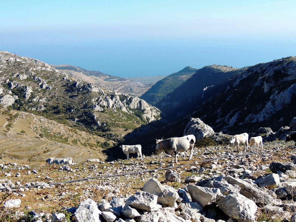 B&B Angela Monte SantʼAngelo Dış mekan fotoğraf
